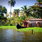 Halal Travel in Kerala