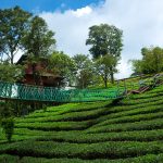 Kerala