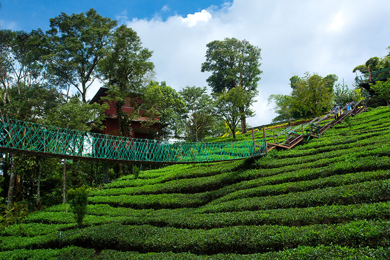 Kerala