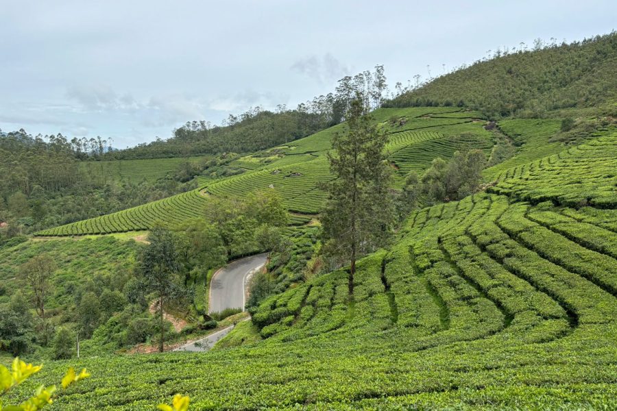 Hotel Maram Mamalakandam