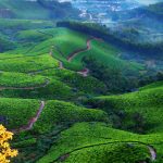 Munnar