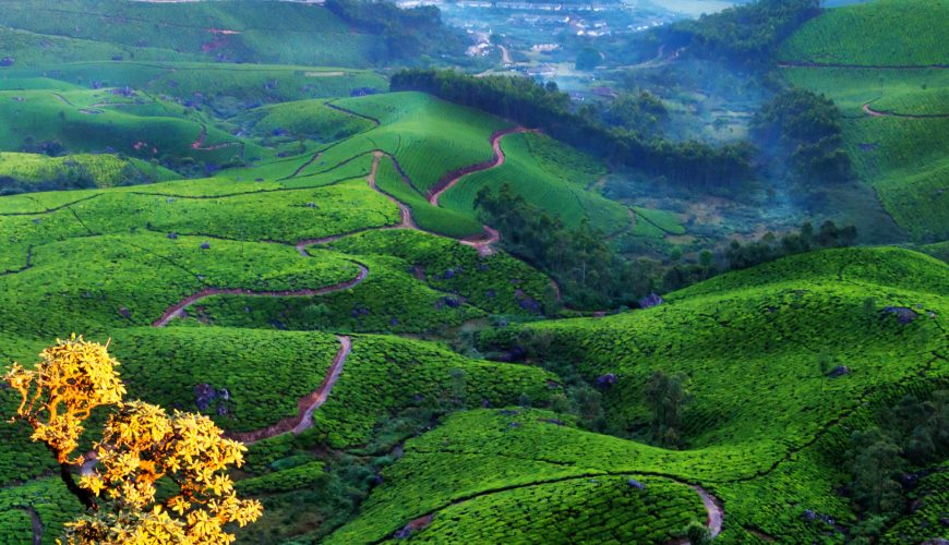 Munnar