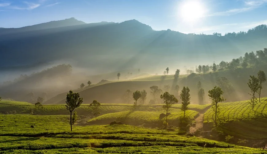 Munnar