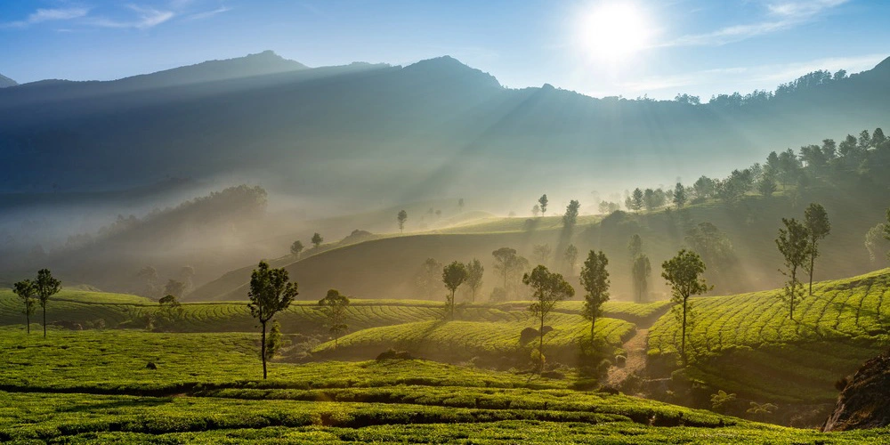 Munnar