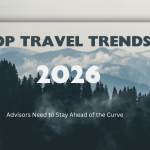 Travel Trends