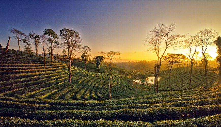 Assam