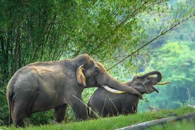 Karnataka