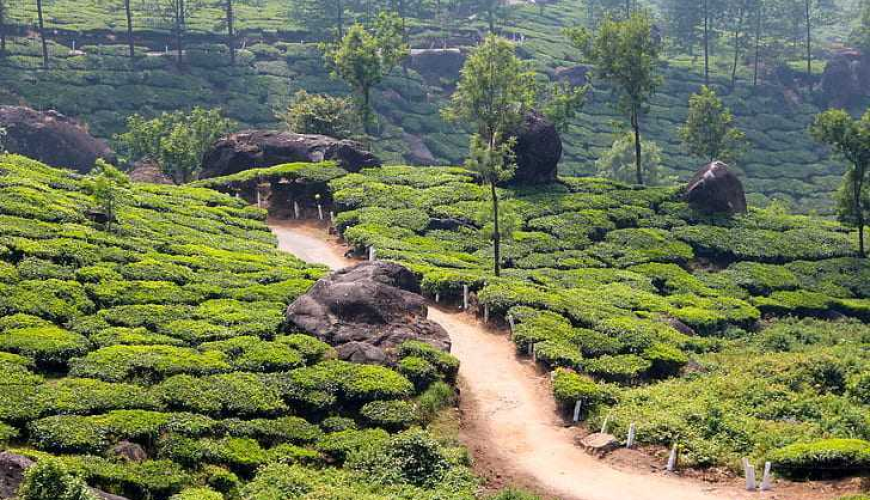 Kerala