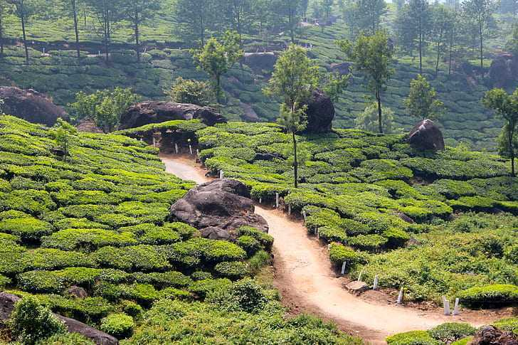 Kerala
