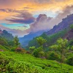 Kerala