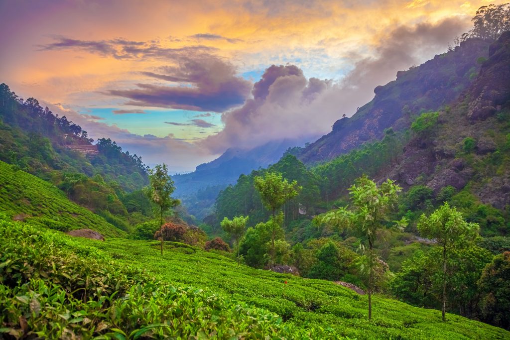 Kerala