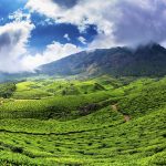 Hidden Hill Stations in South India You Must Visit Before They Become Popular
