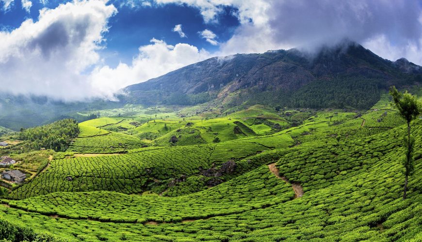 Hidden Hill Stations in South India You Must Visit Before They Become Popular