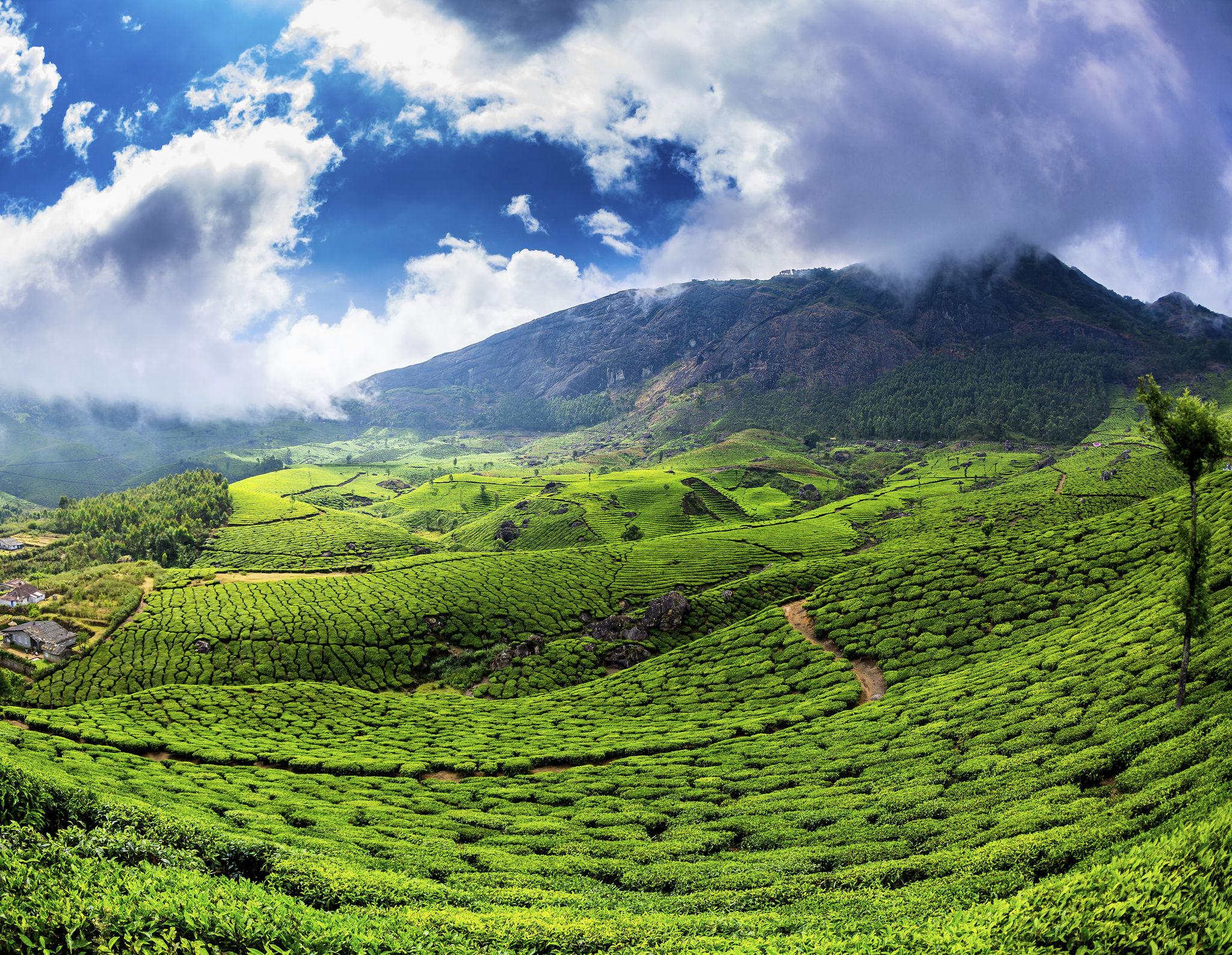 Hidden Hill Stations in South India You Must Visit Before They Become Popular