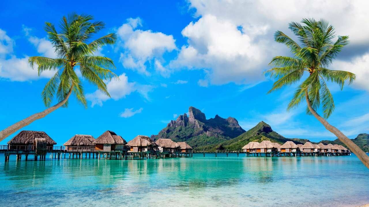 Popular domestic and international destinations