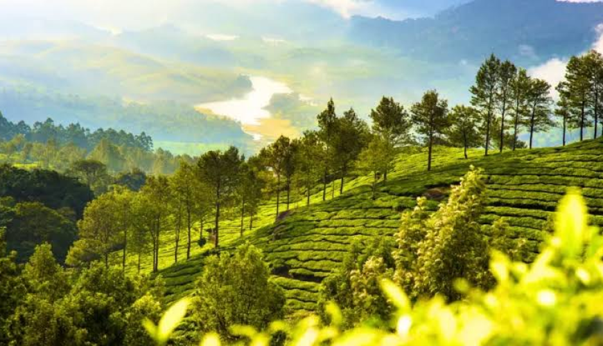 Kerala tour packages