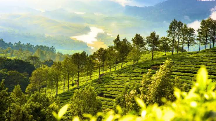 Kerala tour packages