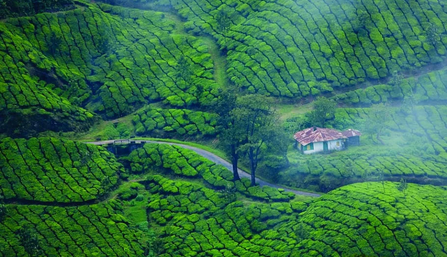 Munnar
