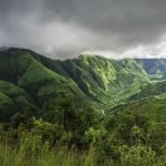 Northeast India Travel Guide: Meghalaya, Assam & Beyond