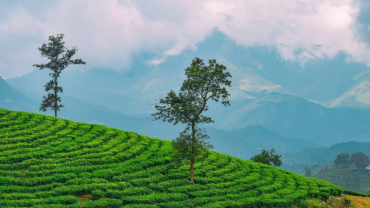 Munnar