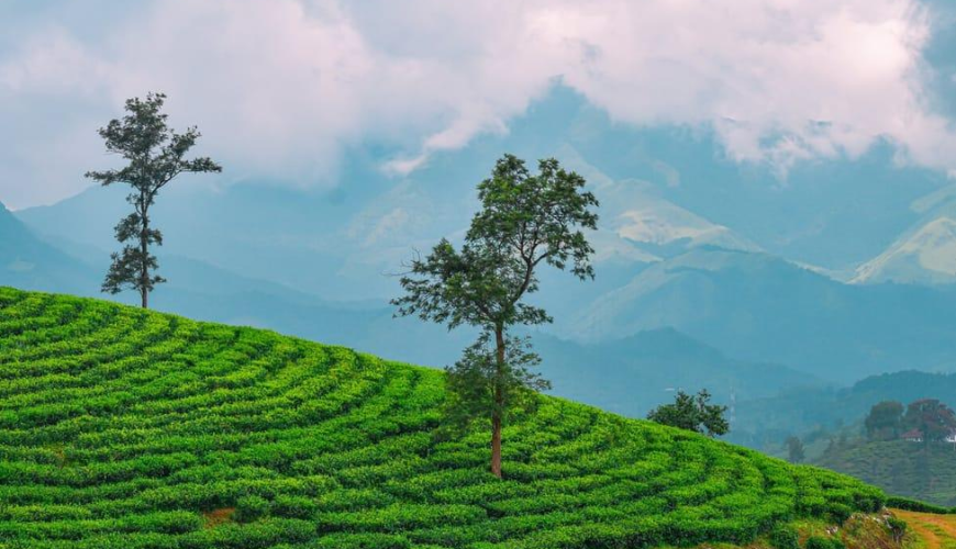 Munnar