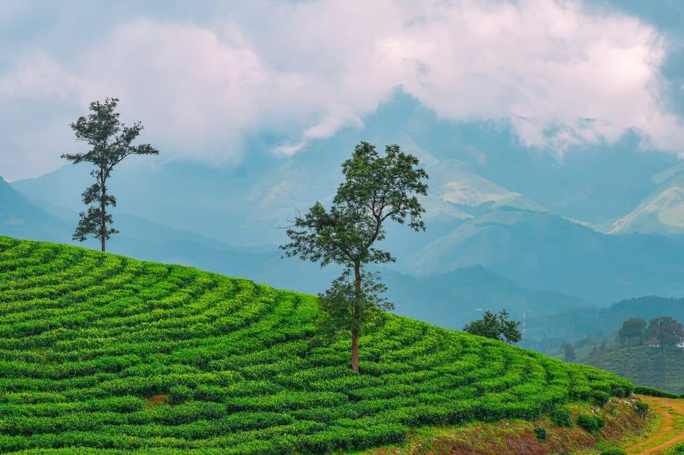 Munnar