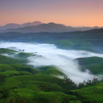 Kerala Family Vacation