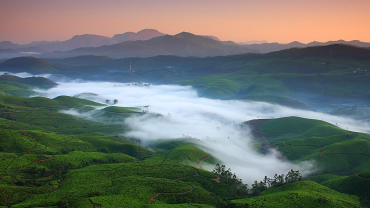 Kerala Family Vacation