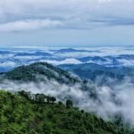 Kerala in October: Best Places to Visit, Weather & Things to Do